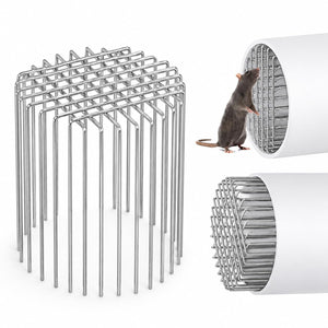 Universal Anti-Rat Drain Cover